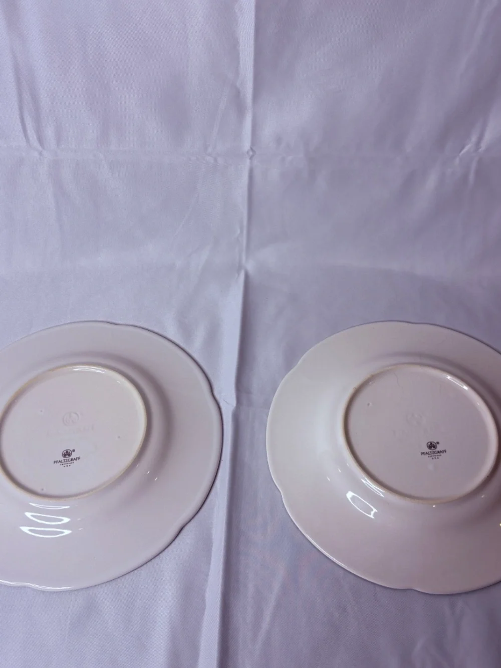 Vintage Pfaltzgraff Winterberry Set Of 2 Luncheon Plates 9